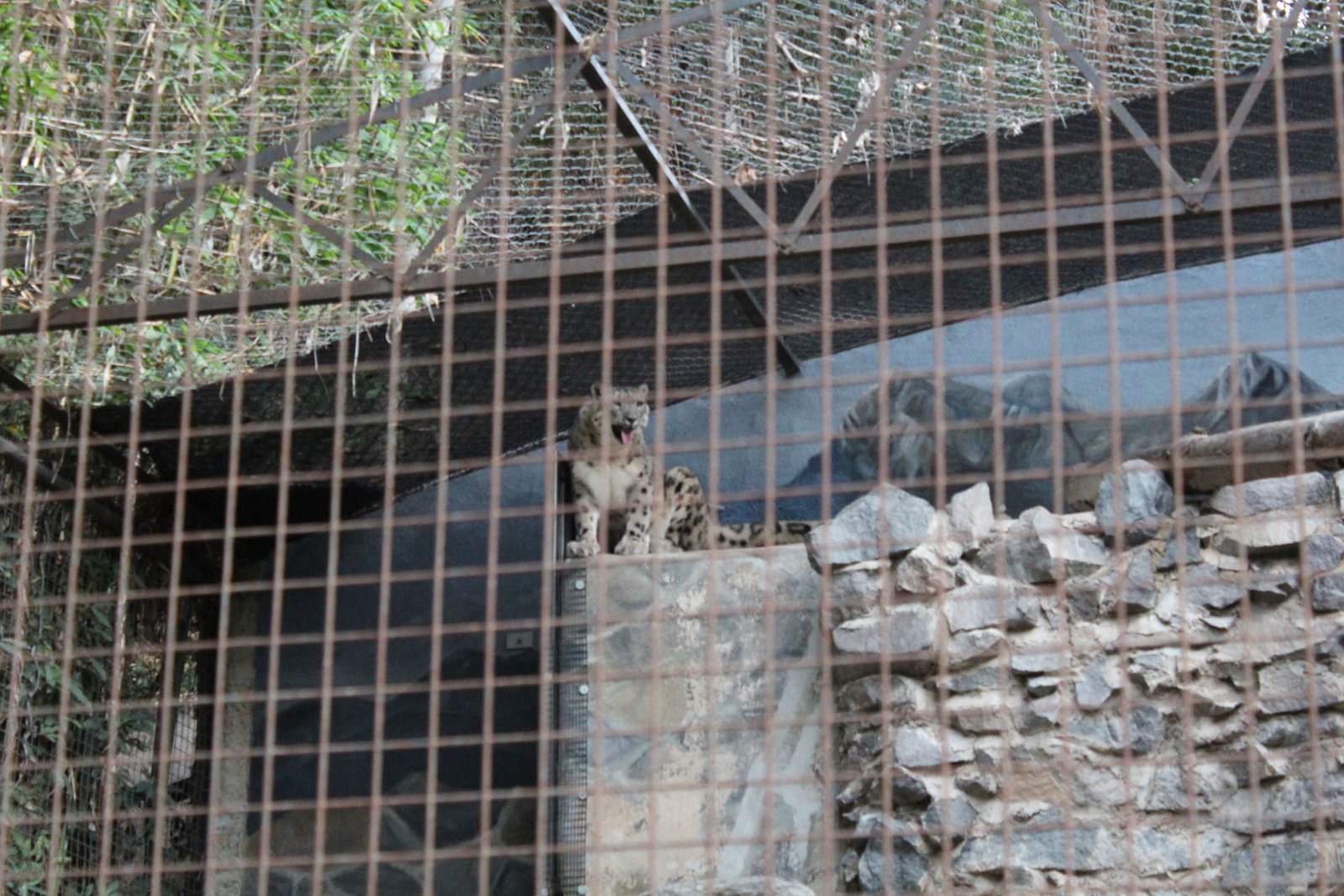 San Diego Zoo Part II 204